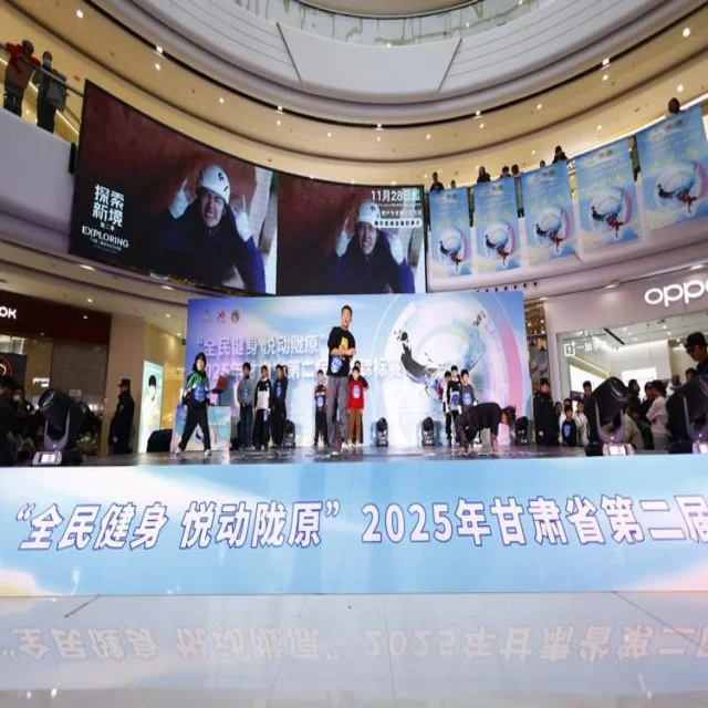 足球杯赛第398组焦点对决：阵容与比赛解析